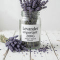 Imported Lavender (Levander Important) 20KG Bulk – Akbari Mandi Pansar | Premium Dried Buds